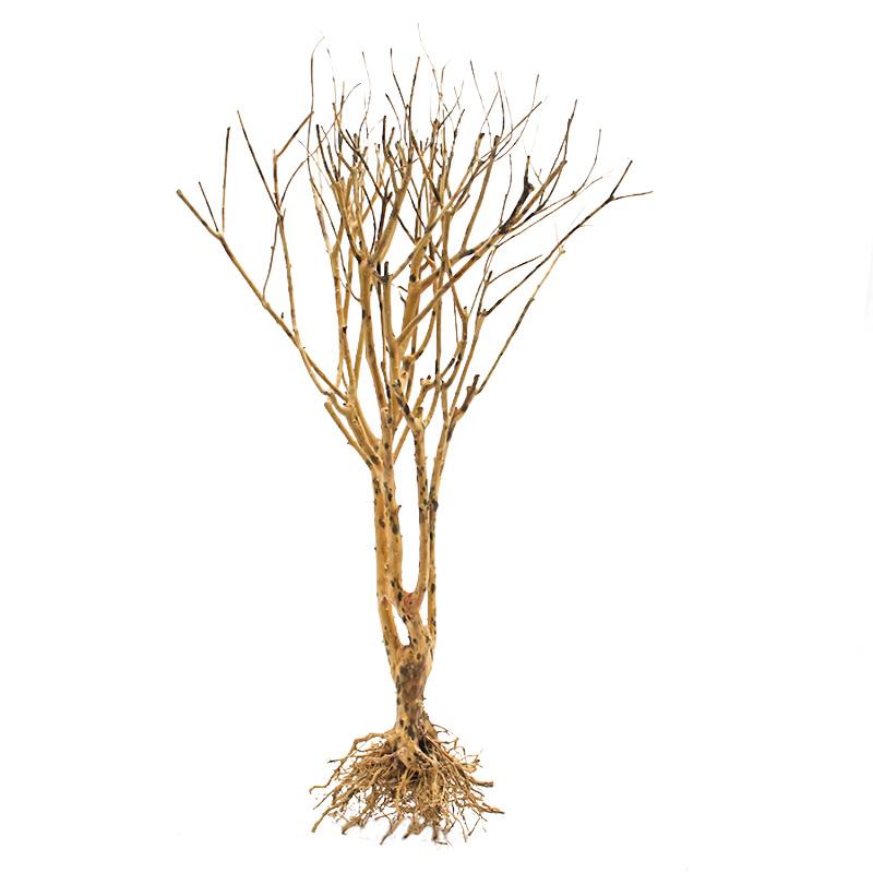 Dekoračný koreň Fine Wood Stump Tree
