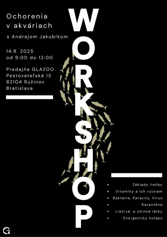 WORKSHOP #3
