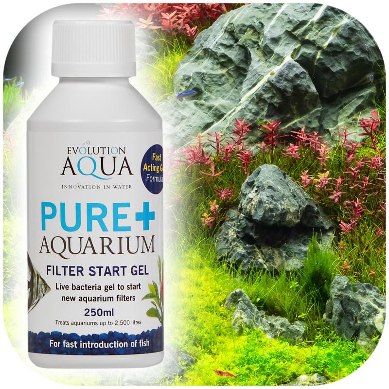 Evolution Aqua Pure + Aquarium