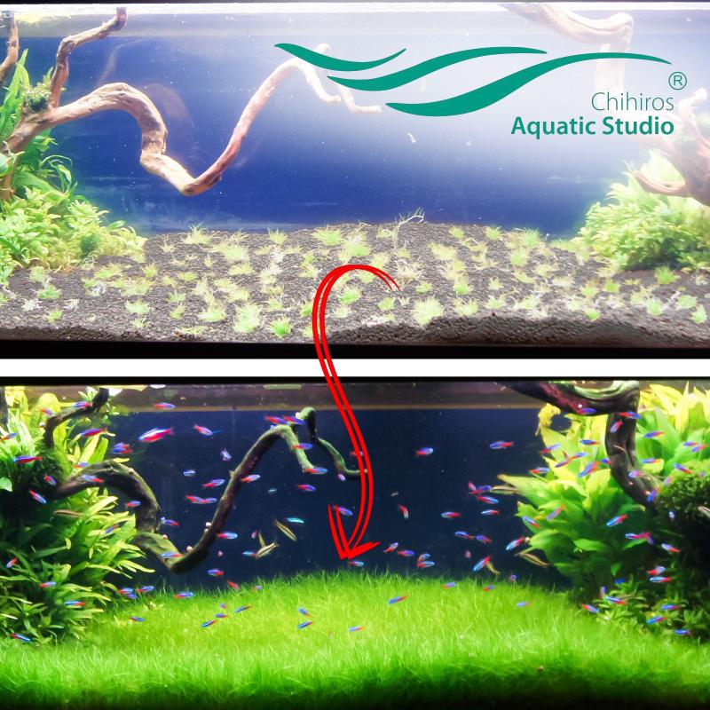 Chihiros Aqua Soil 9l - substrát pre rastlinné akvárium