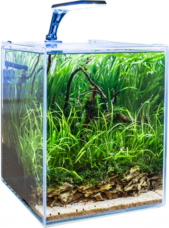 Shrimp LED akváriový set 20l