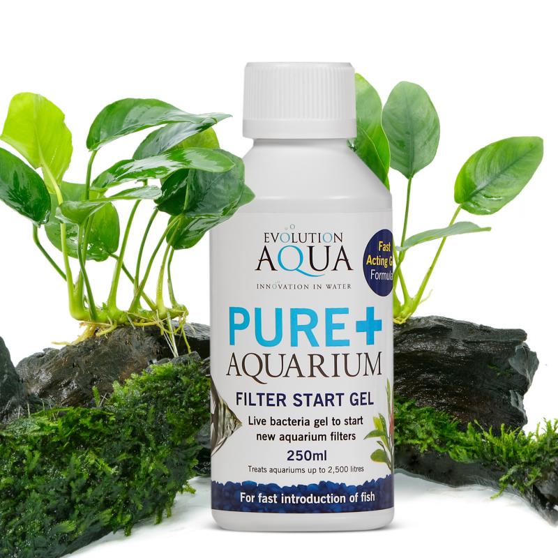 Evolution Aqua Pure + Aquarium