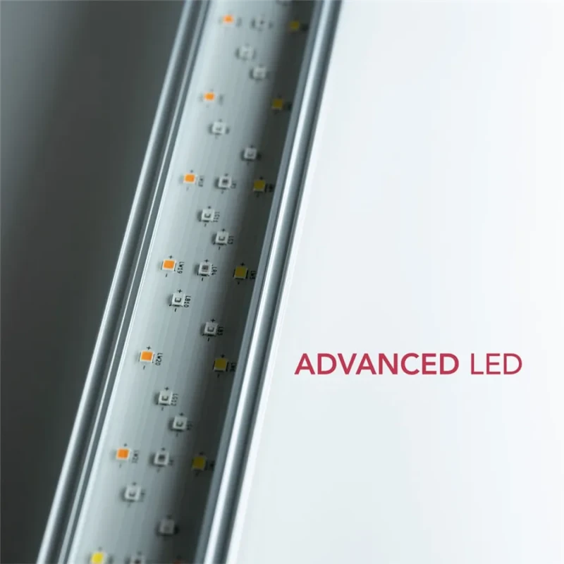 Twinstar Light 80G 3