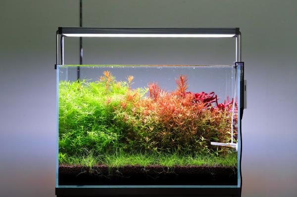 NEO Soil Plant 8l - substrát pre rastlinné akvárium