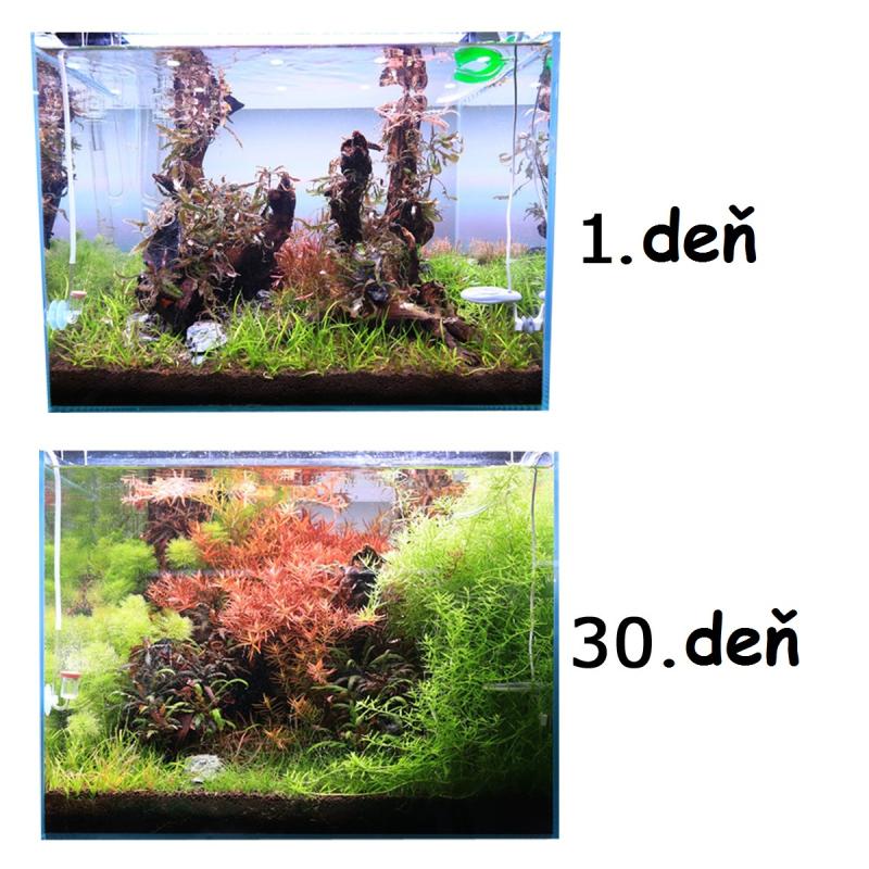 NEO Soil Plant 8l - substrát pre rastlinné akvárium