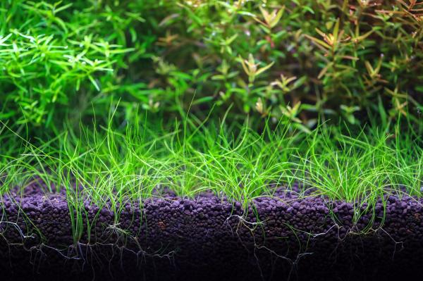 NEO Soil Plant Brown 8l - hnedý substrát pre rastlinné akvárium
