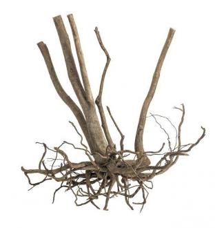 Dekoračný koreň Fine Wood Stump
