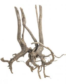 Dekoračný koreň Fine Wood Stump