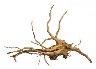 Dekoračný koreň Red Moor Wood